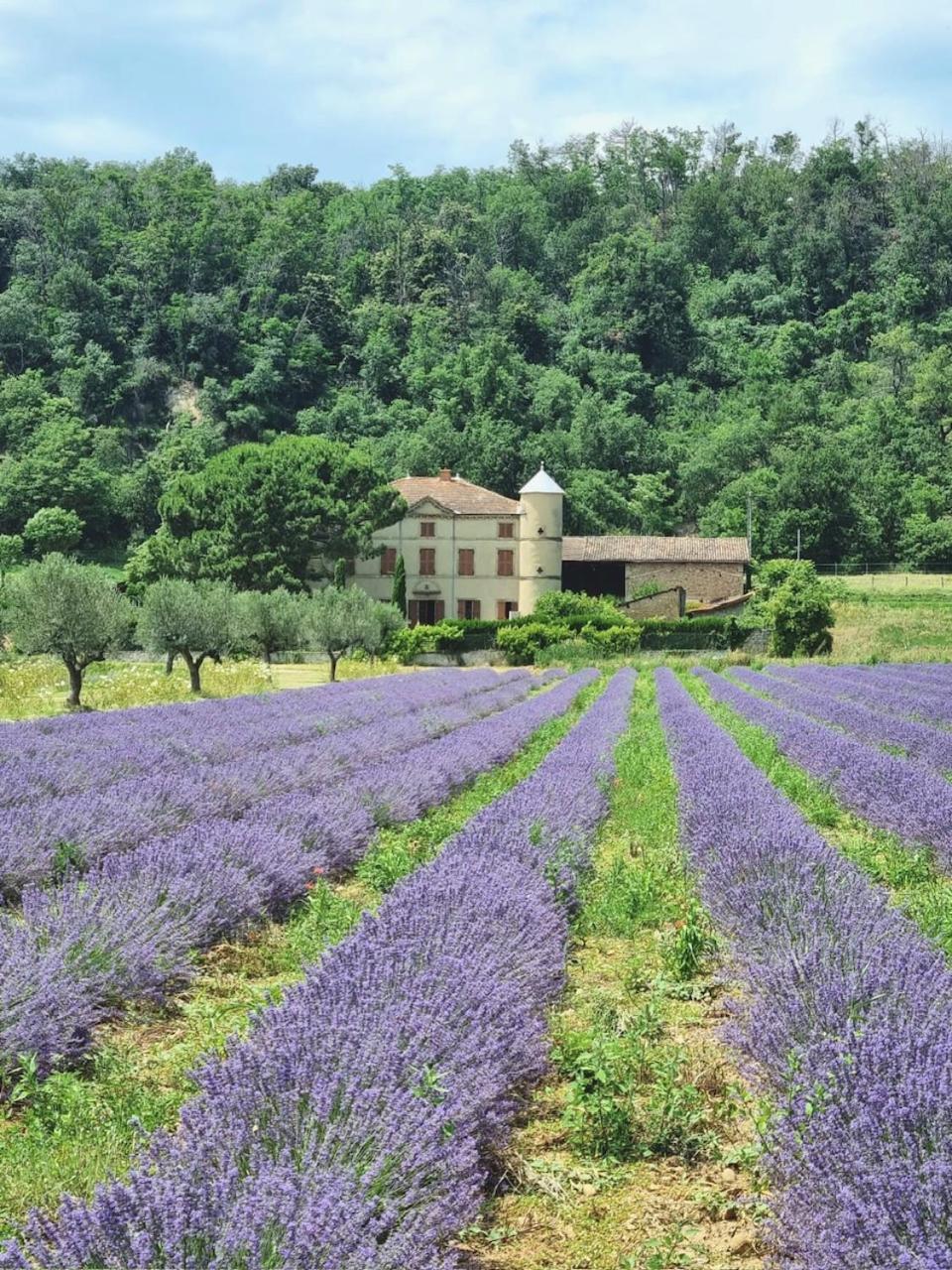 Domaine Des Balmes Vila Romans-sur-Isère Exterior foto