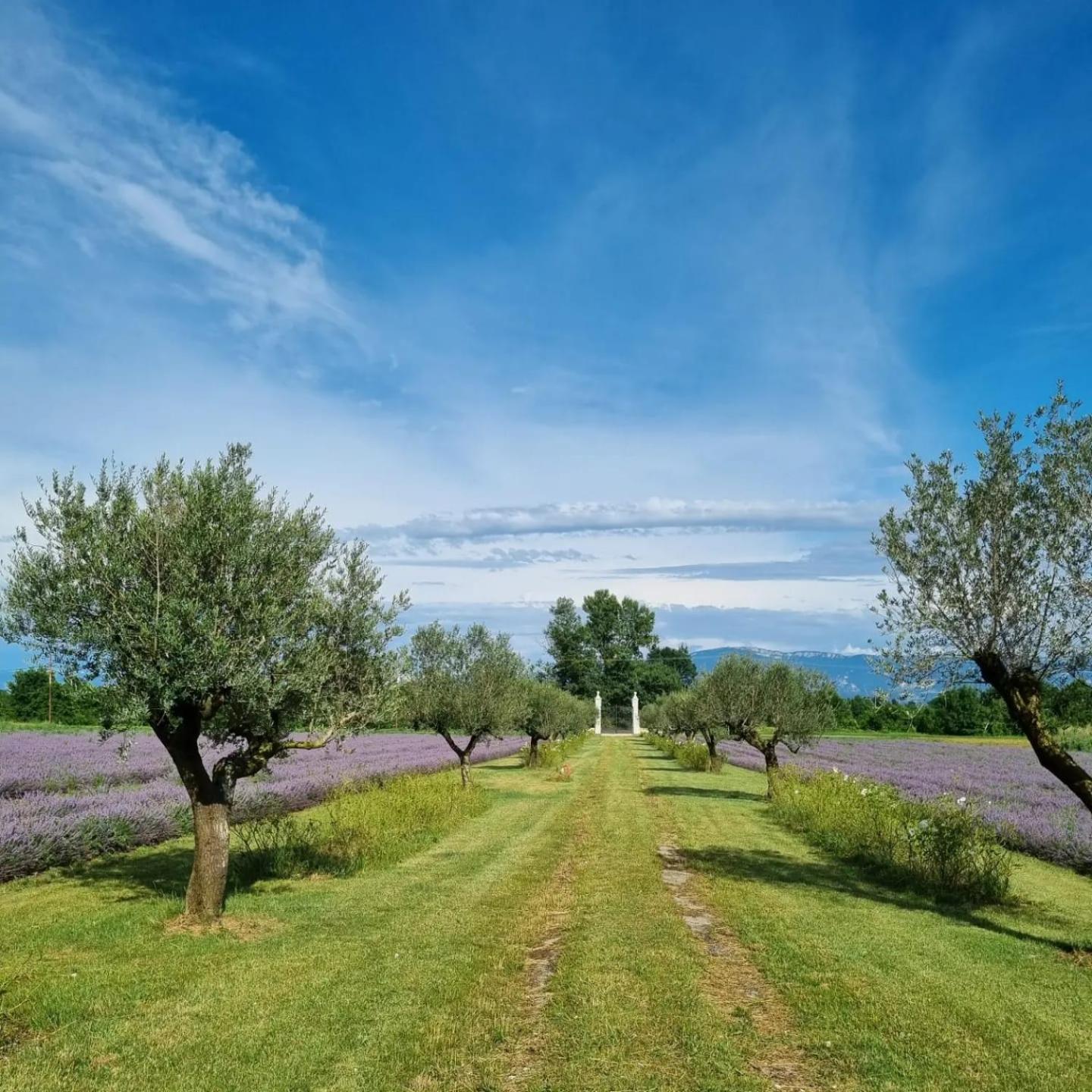 Domaine Des Balmes Vila Romans-sur-Isère Exterior foto